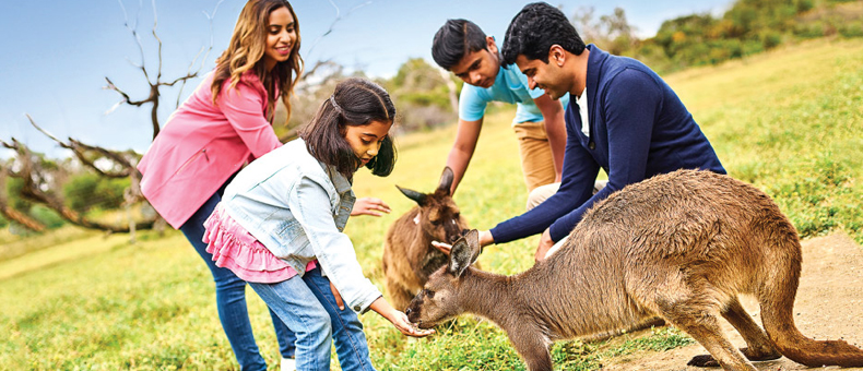 Australia Tour Packages