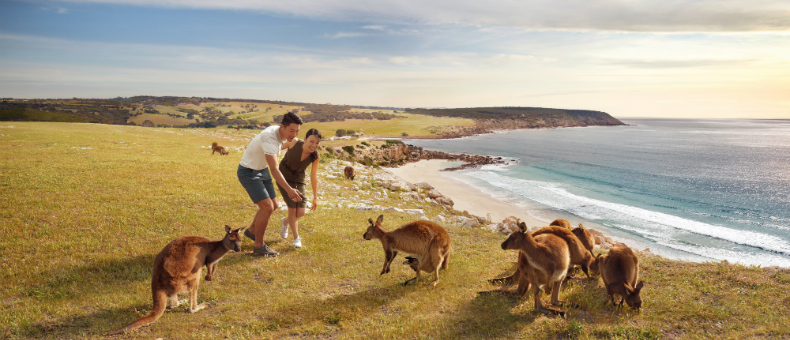 Australia Tour Packages