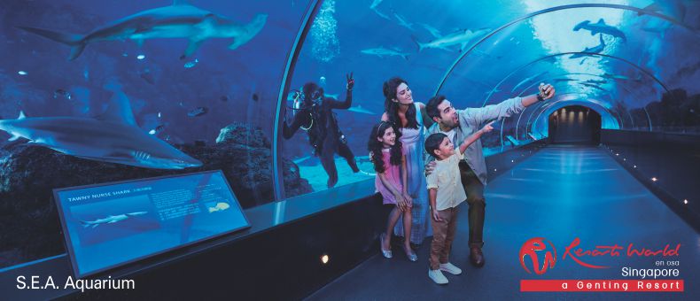 Singapore Tour Packages