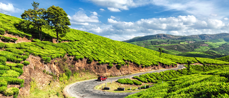 Munnar located in Idukki district of Kerala