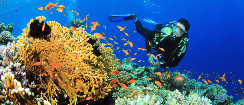 Egypt Tour Packages