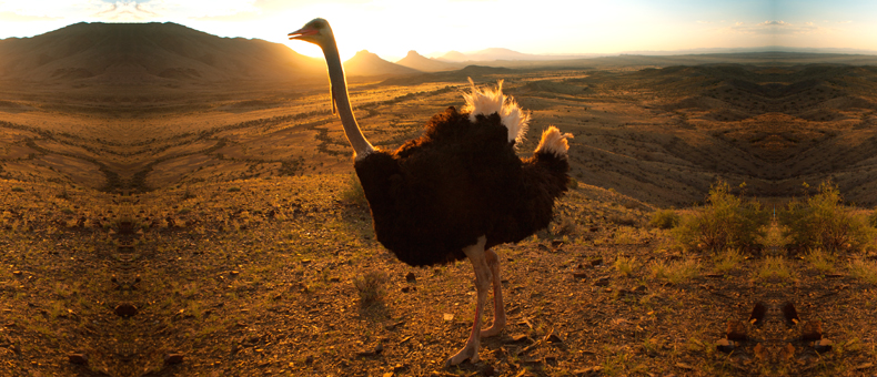 South Africa Tour Package