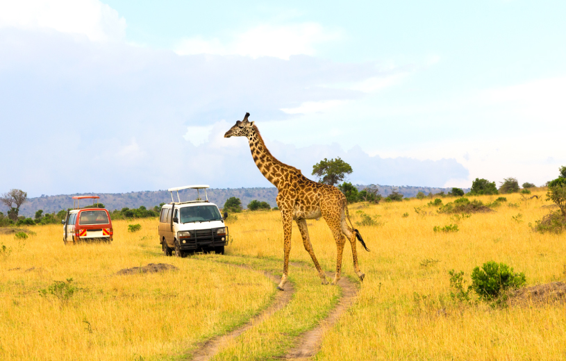 Masai Mara Photographic Safari 
