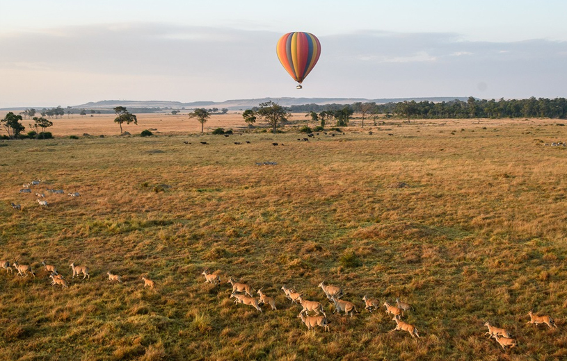 Masai Mara Photographic Safari Masai Mara Photographic Safari