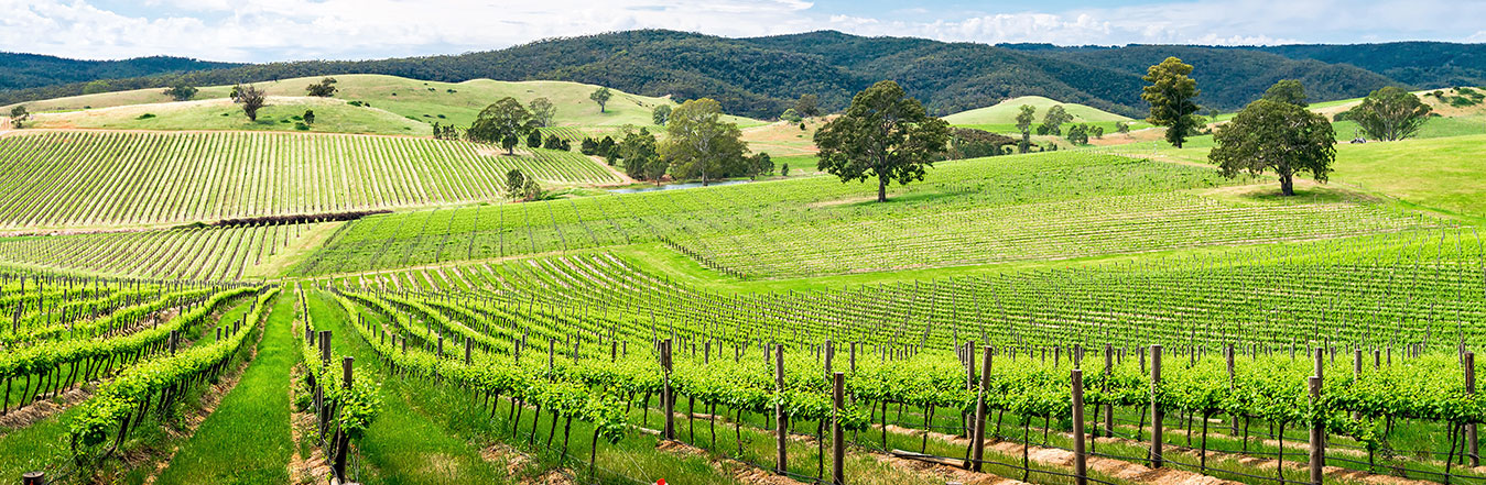 Adelaide & Beyond Adelaide & Beyond