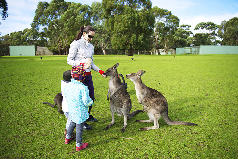 Wild Australia