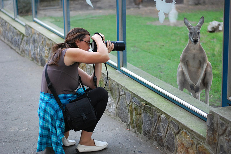 Wild Australia