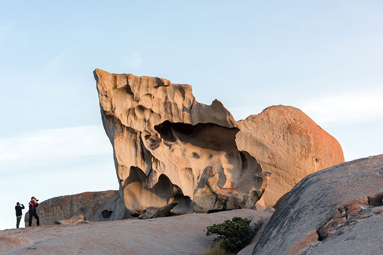 Wild Australia