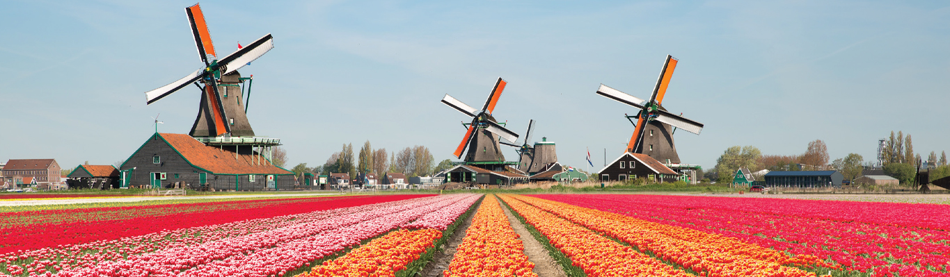 Netherlands, Belgium & France 