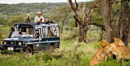 African Safaris