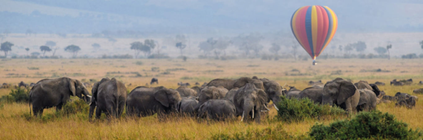 Africa Rustica Safari  