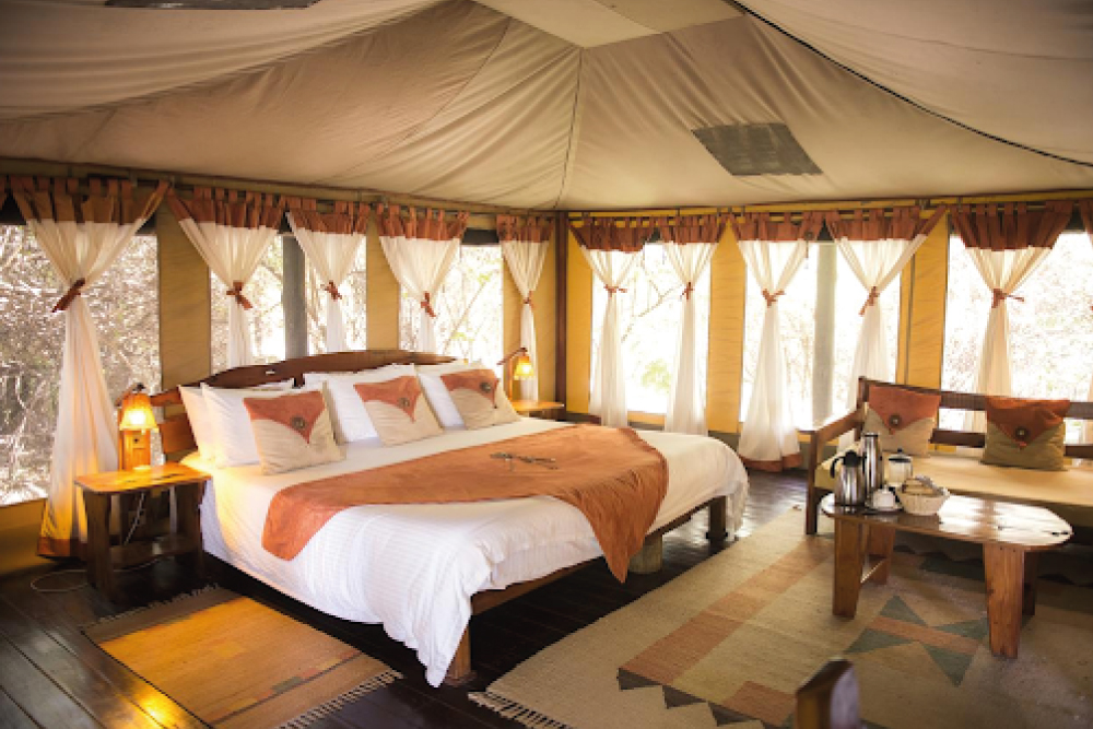 Africa Rustica Safari  