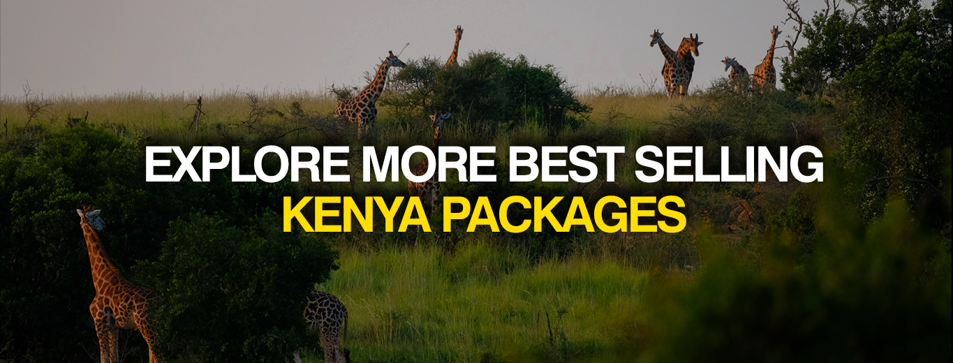 Kenya Package