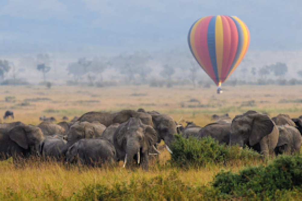 Kenya Adorned Safari  
