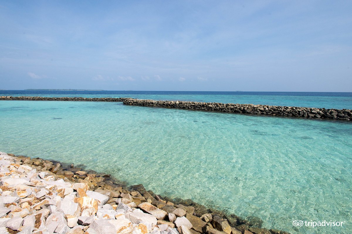 Taj Coral reef resort and spa Maldives