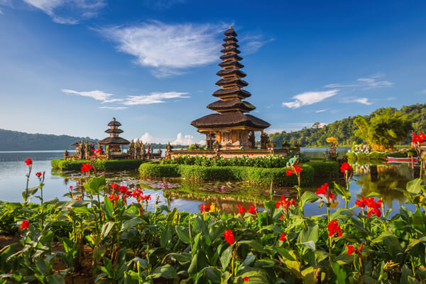 Bali Bonanza Offer