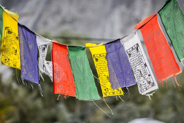 Ladakh Offer