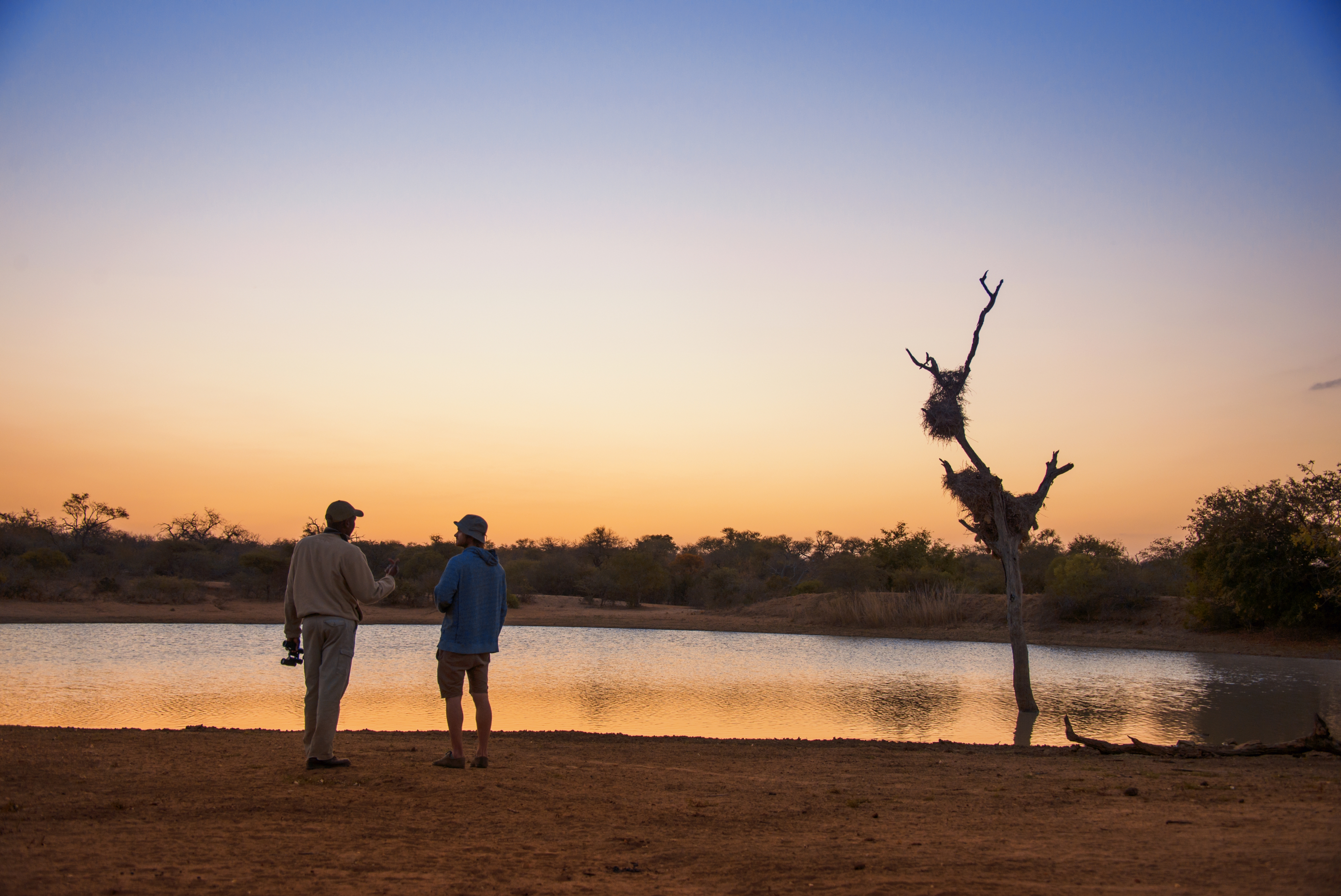 South African Odyssey South African Odyssey