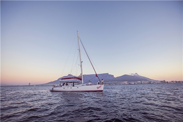 South African Odyssey