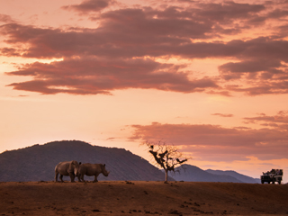 Kenya & Tanzania