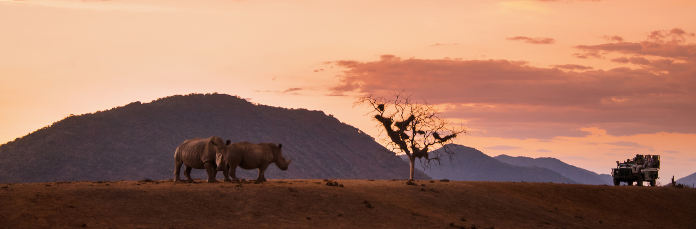 Kenya & Tanzania