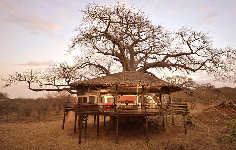 Skysafari Tanzania Classic