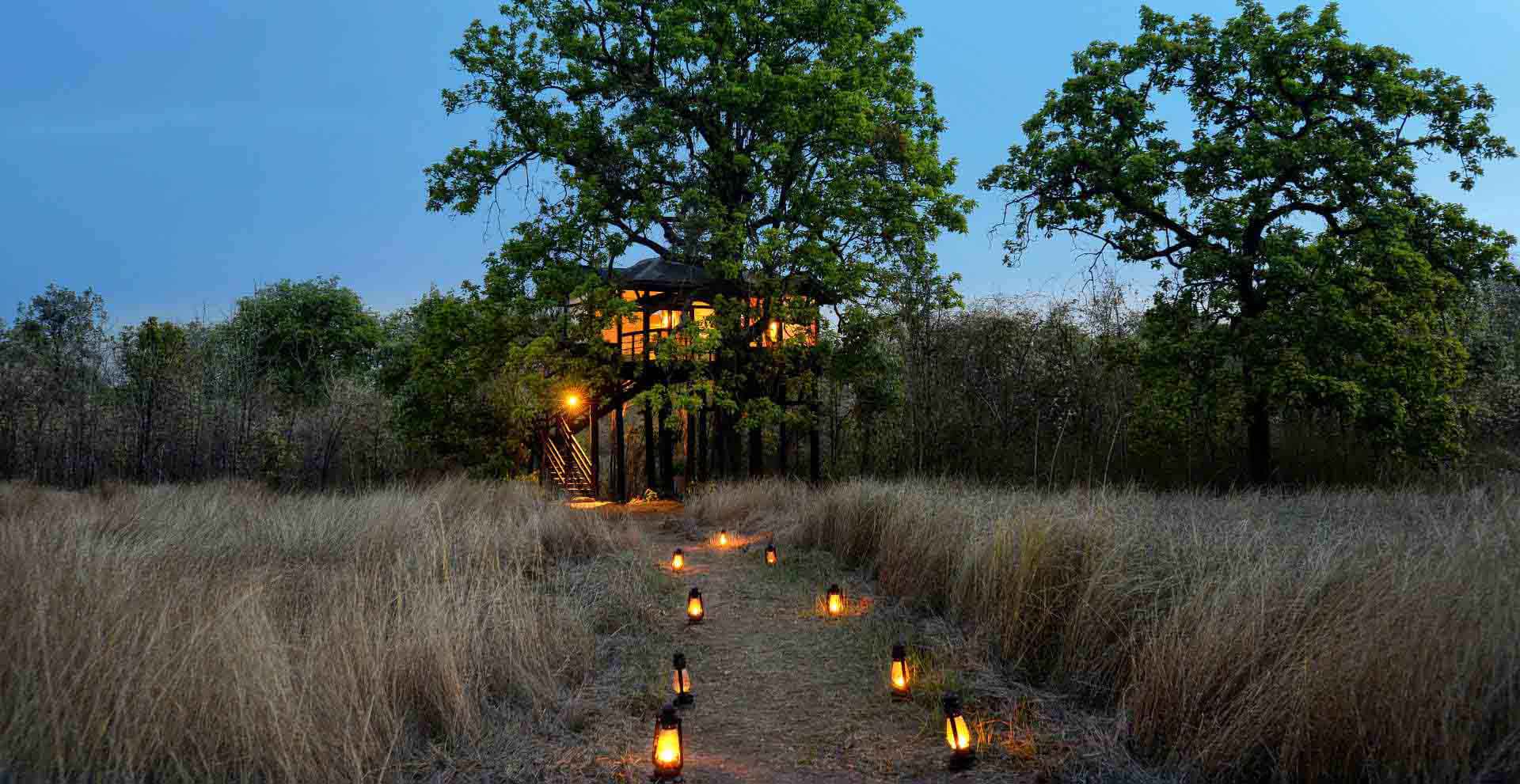 Pench Tree Lodge Pench Tree Lodge