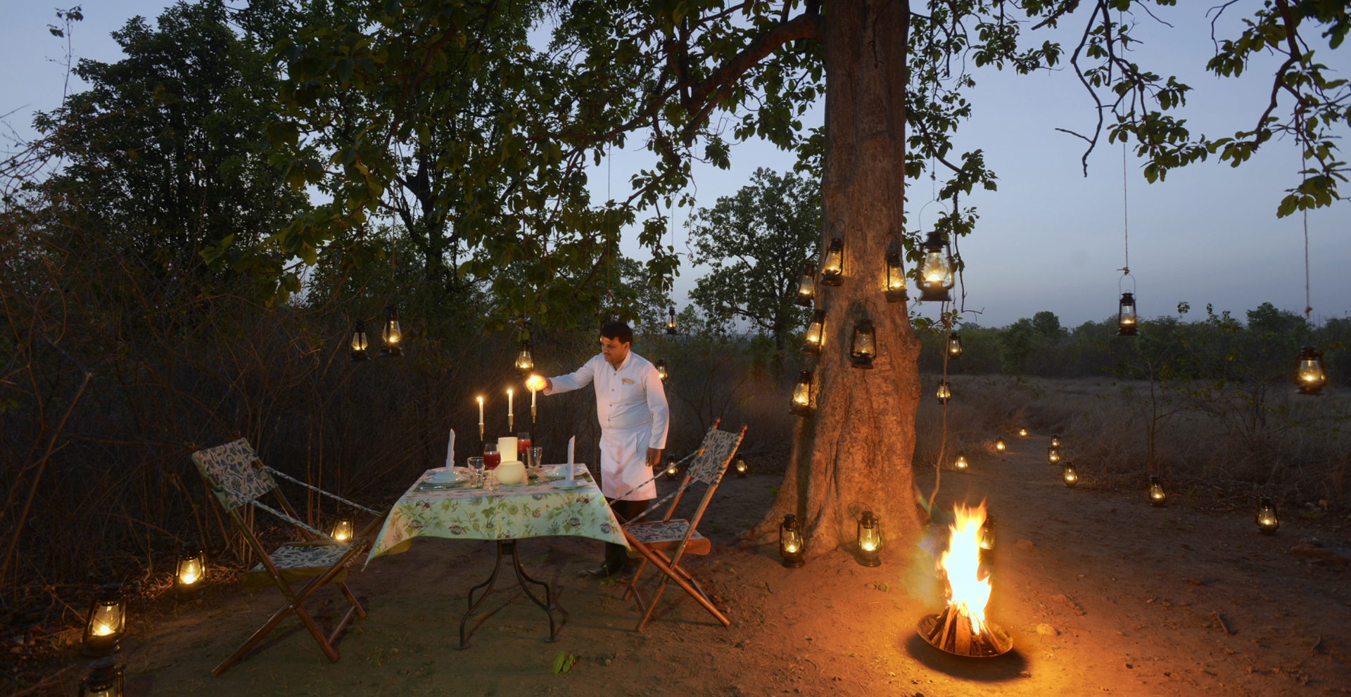 Pench Tree Lodge