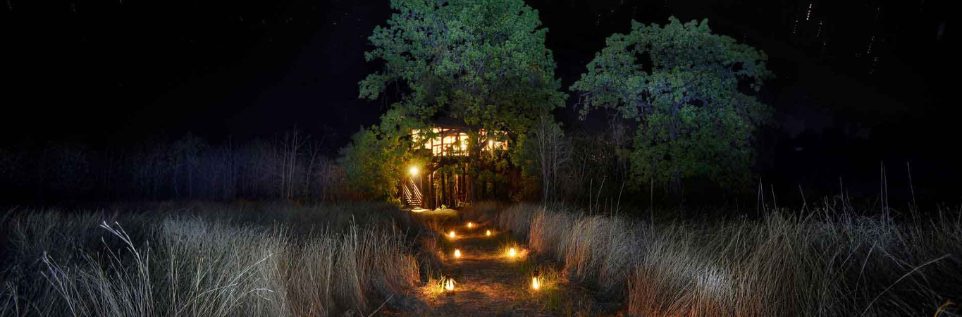 Pench Tree Lodge