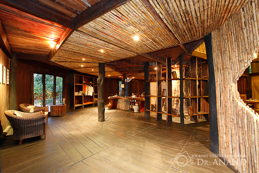 Tree house hideaway Tree house hideaway