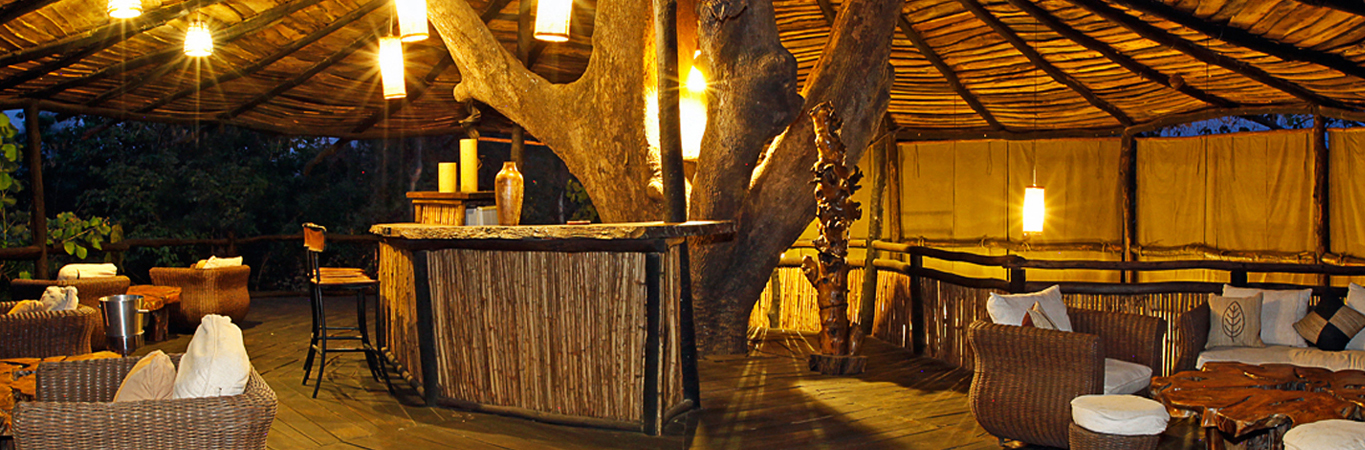 Tree house hideaway Tree house hideaway