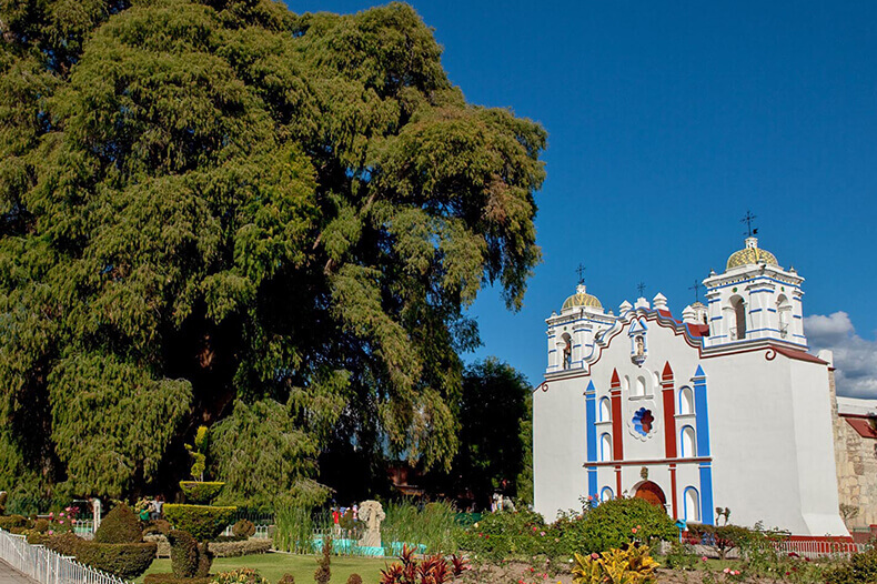 Mexican and Guatemalan Landscapes 